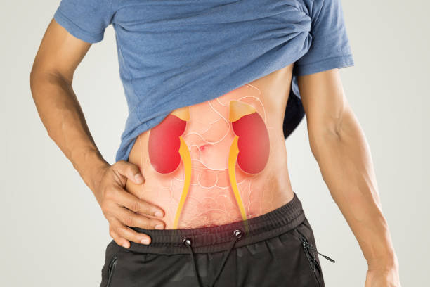 istockphoto-2009963515-612x612 - Professional Health Forum
