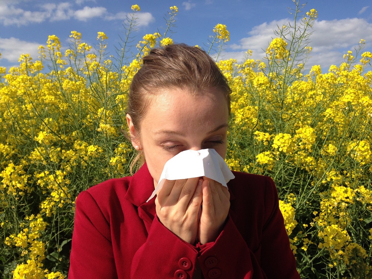 allergy-1738191_1280 - Professional Health Forum