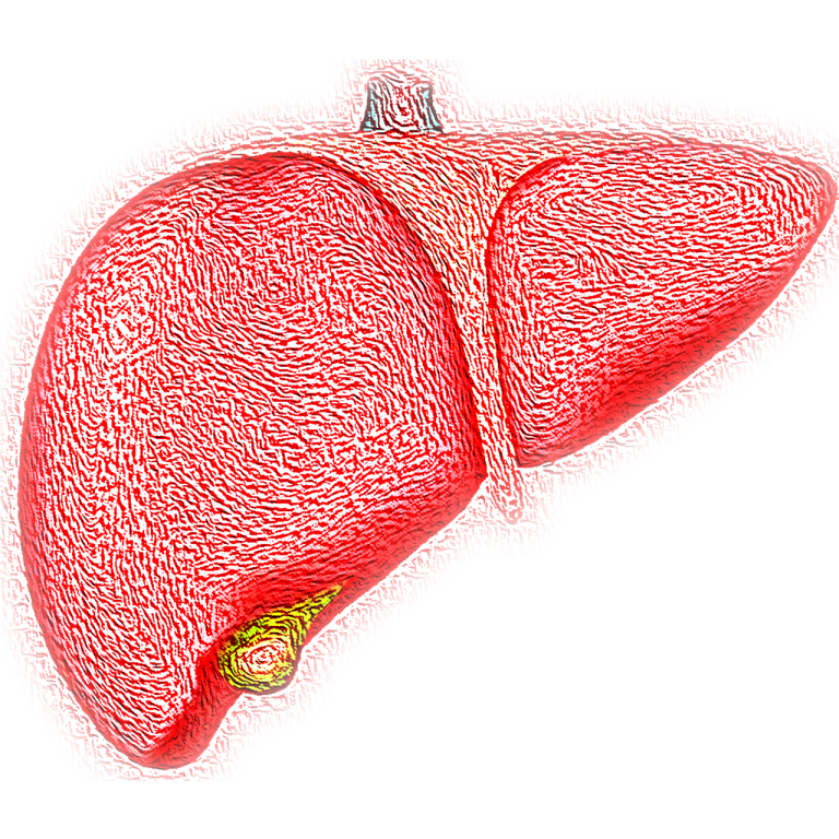 The Hepatitis Journey: Navigating Diagnosis, Treatment, and Life